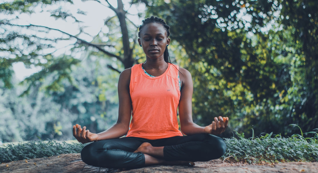 Labradoriet en Meditatie